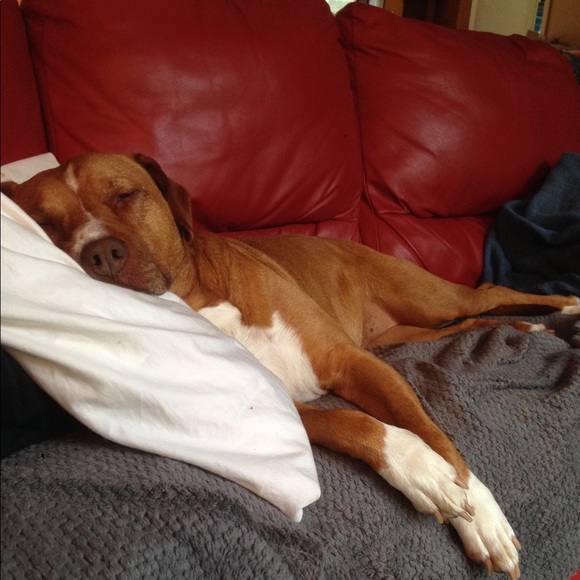 Posh Ambassador, Margaret - Picture 3 of 5